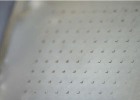 micropoint-plan-view-fully-dissolved-microneedles